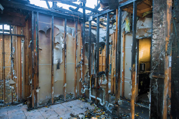 Professional Fire Damage Removal technician working in Louisville, KY