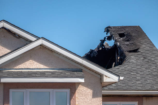 Top rated local Fire Damage Removal specialists in Louisville, KY